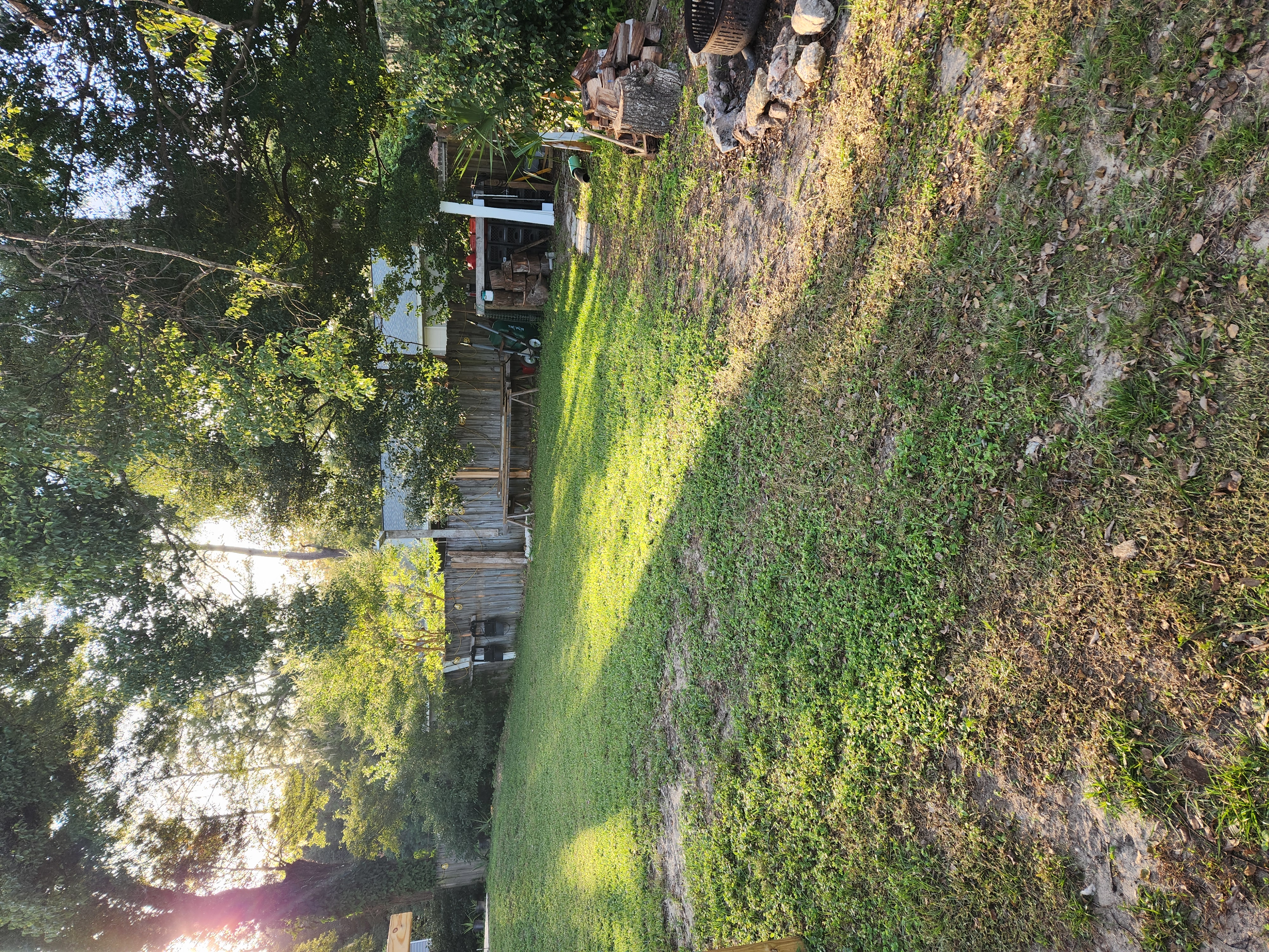 Cat and dog looking out a home window together over a snowy yard